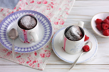 Malted hot chocolate and raspberry mug cake